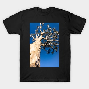 Quiver tree. T-Shirt